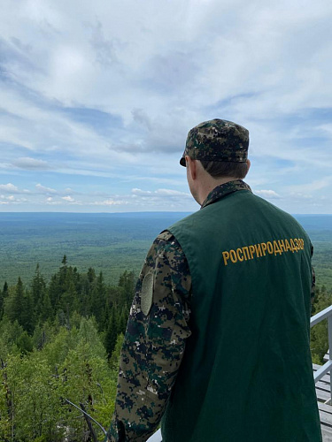 Инспекторы Уральского управления Росприроднадзора провели поисковый рейд по обнаружению павших диких животных 